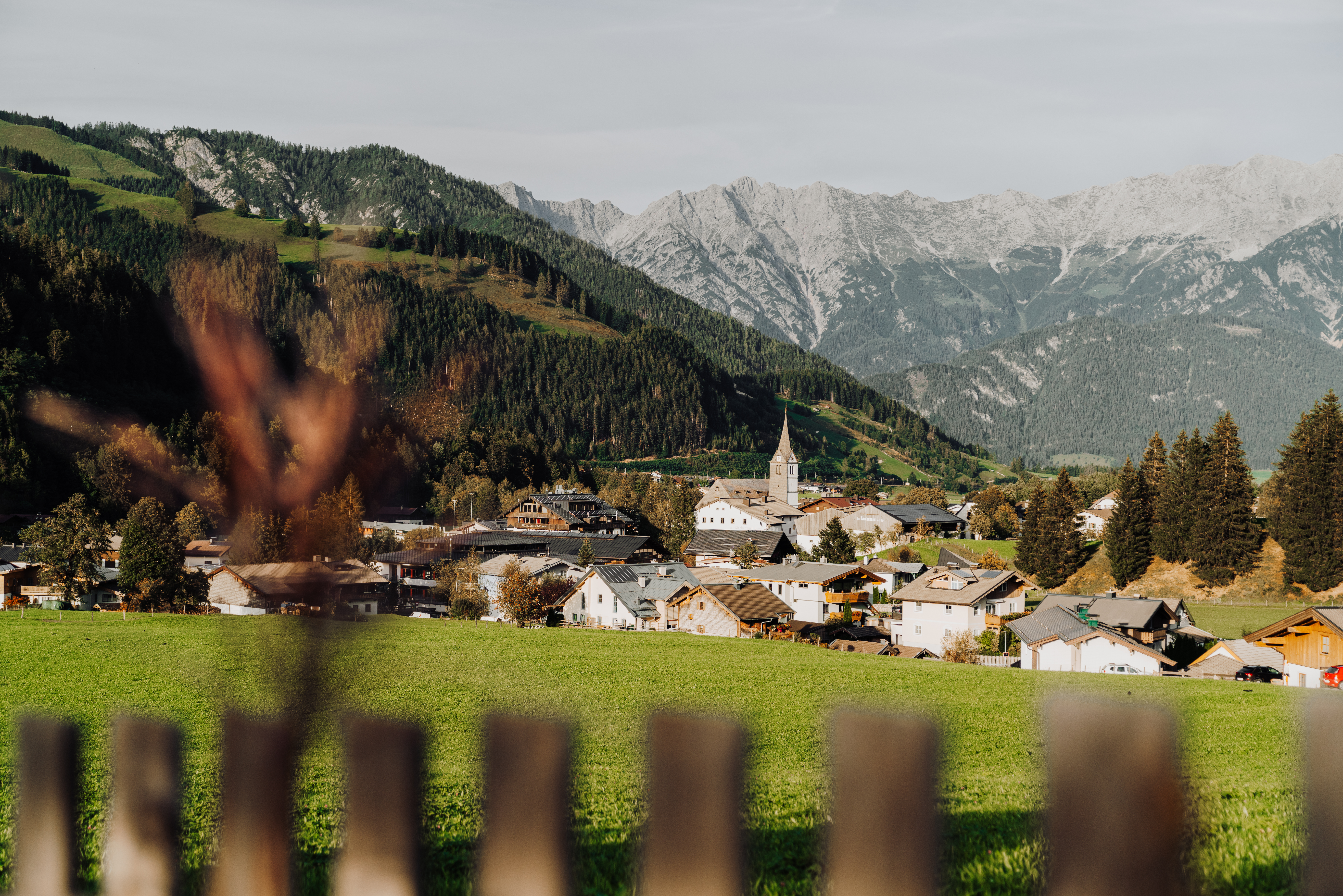 Bild zum Inhalt